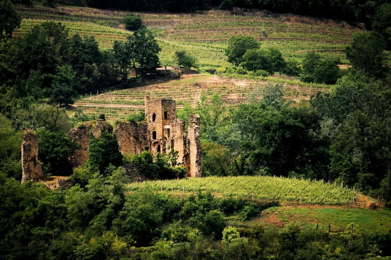 Villa Gelso Vesime Bagian luar foto